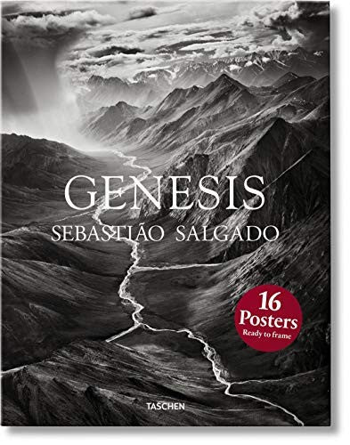 Genesis Poster Salgado